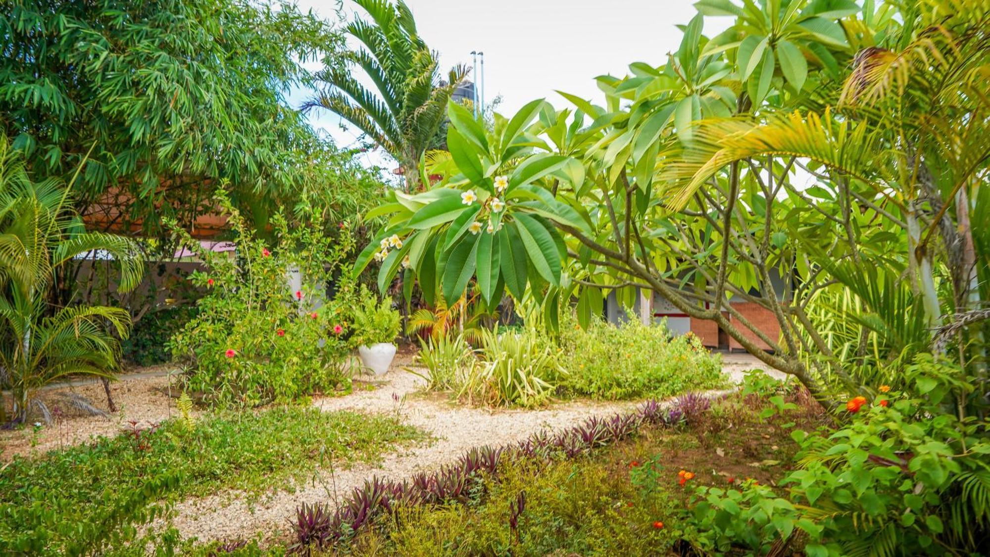Bed and Breakfast Nungwi House Exterior foto